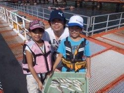 神戸市立須磨海づり公園　サビキでアジ