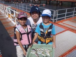 神戸市立須磨海づり公園　サビキでアジ