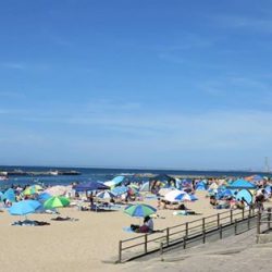 サーフ　投げ釣り