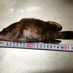 遅かった(´д｀|||)