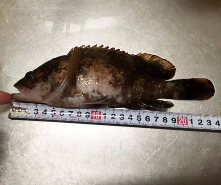 遅かった(´д｀|||)