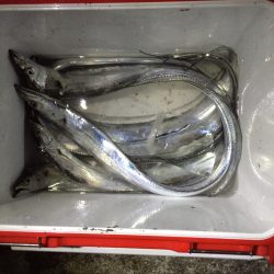 和歌山に嫌われて雨に好かれて