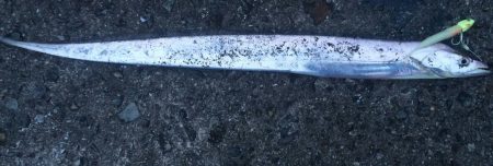 ファミリーフィッシングを満喫！！