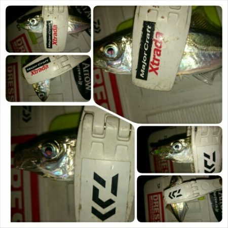 夕マズメアジング