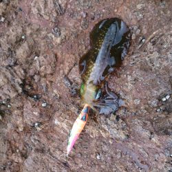 伊根内ランガン