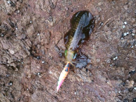 伊根内ランガン