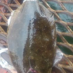 雨にも負けず！