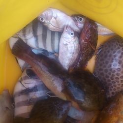 久しぶりの佐野釣行