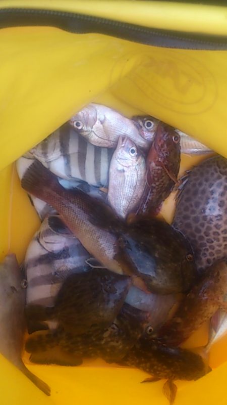 久しぶりの佐野釣行