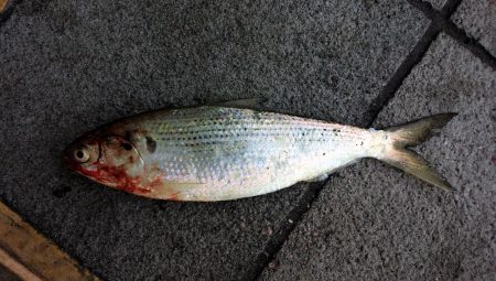 シルバーウイーク大混雑（＾＾；）