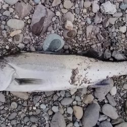 また行ってきました！