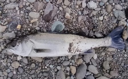 また行ってきました！