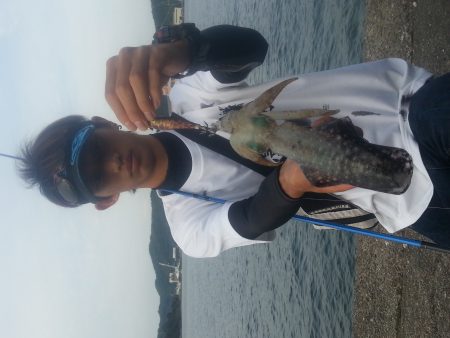 週末激戦エギング