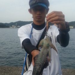 週末激戦エギング