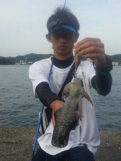 週末激戦エギング