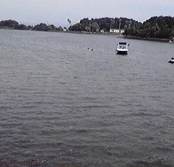 ﾊｾﾞたくさん釣れた