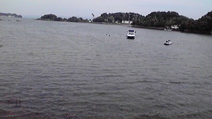 ﾊｾﾞたくさん釣れた