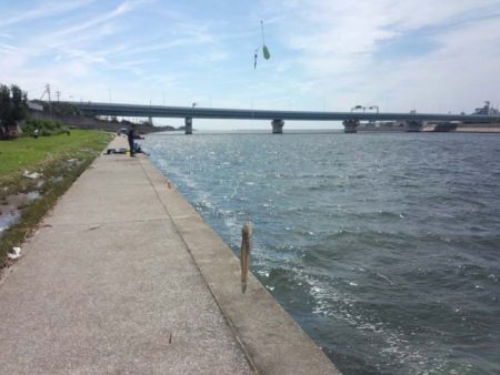 武庫川尻　サヨリとハゼの二本立て