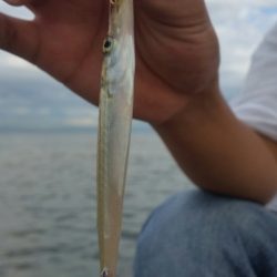 マイクロジギング