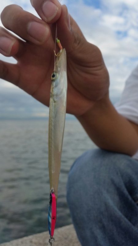 マイクロジギング