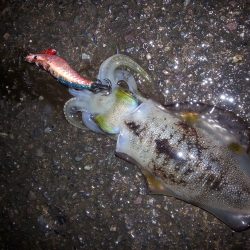 爆風の中・・・