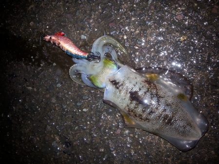 爆風の中・・・