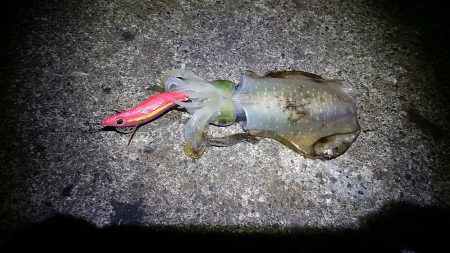 ほんとに秋なのか？！　でもやめられない！！…