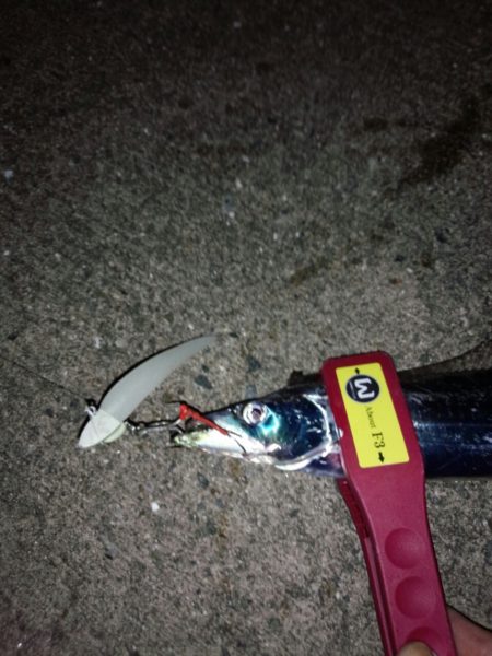 大阪湾奥、そろそろかな？