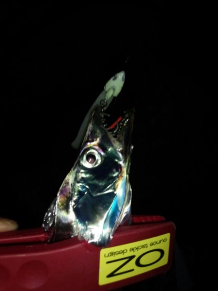 はじめての場所でアタリぱっなし！