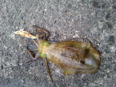 大潮スーパームーン前夜