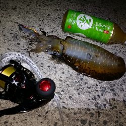 スーパームーンの　底力！！