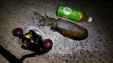 スーパームーンの　底力！！