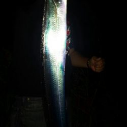 十五夜の月とタチウオ釣り