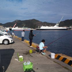 けっこう釣れました