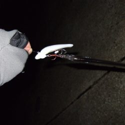 数は出たけれど