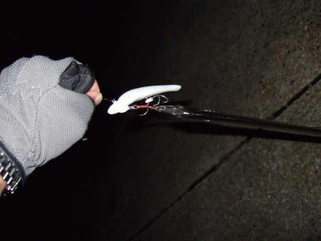 数は出たけれど