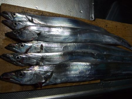 太刀魚ＧＥＴ！