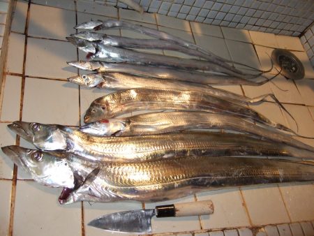 大太刀初ＧＥＴ！