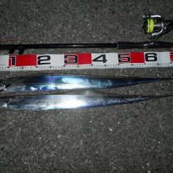 夜釣りでタチウオのウキ釣り