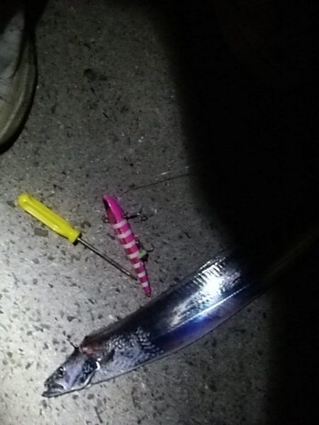 ワインド二回目