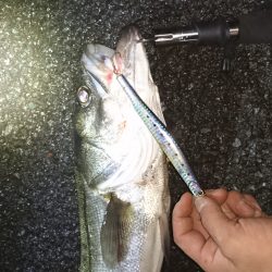 事故的ヒット・・・