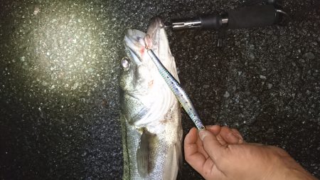 事故的ヒット・・・