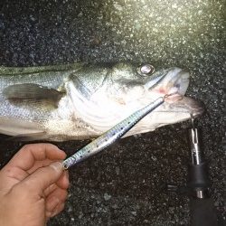 事故的ヒット・・・