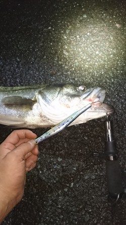 事故的ヒット・・・