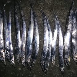 ドラゴンハンティング