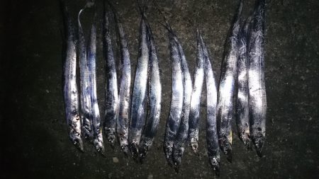 ドラゴンハンティング