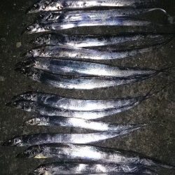 ドラゴンハンティング