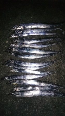 ドラゴンハンティング