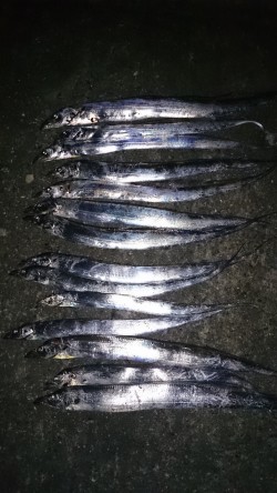 ドラゴンハンティング