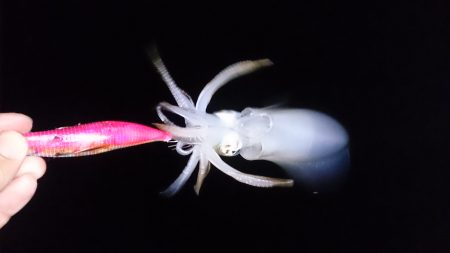 まだまだリリースサイズ！